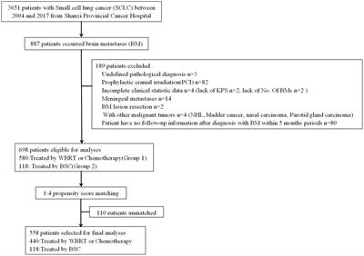 Best Supportive Care Versus Whole-Brain Irradiation, Chemotherapy Alone, or WBRT Plus Chemotherapy in Patients With Brain Metastases From Small-Cell Lung Cancer: A Case-Controlled Analysis